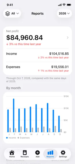 Reports: net profit for the year against last year, income, expenses and a chart by month
