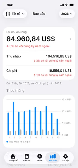 Báo cáo: lợi nhuận ròng của năm so với năm ngoái, thu nhập, chi phí và biểu đồ theo tháng